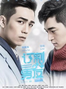 Индивидуальный компаньон (2017)